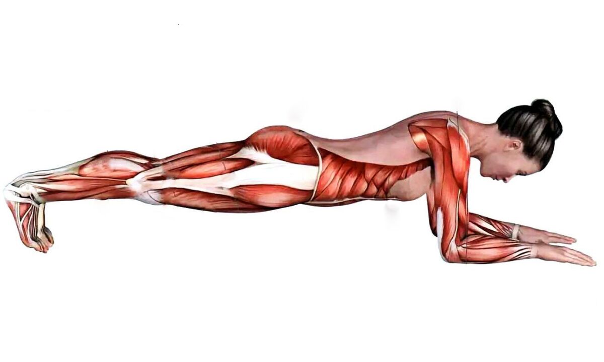 que musculos trabajan al hacer plancha